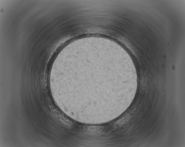 X0000086300832200704091019