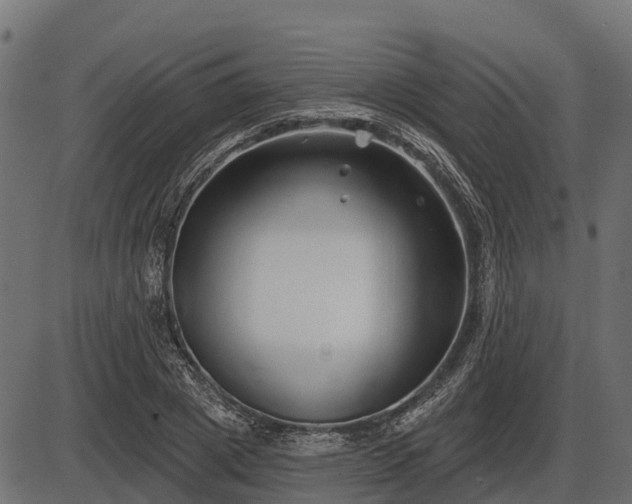 X0000086300833200704091019