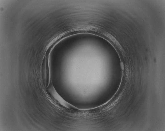 X0000086300834200704091019