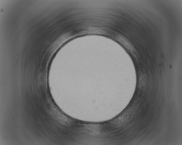 X0000086300836200704091019