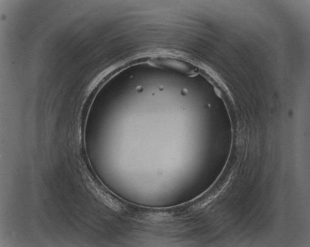 X0000086300837200704091019