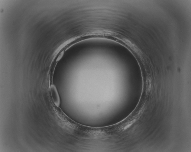 X0000086300838200704091019