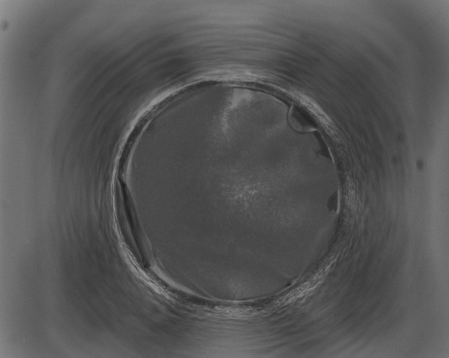 X0000086300840200704091019