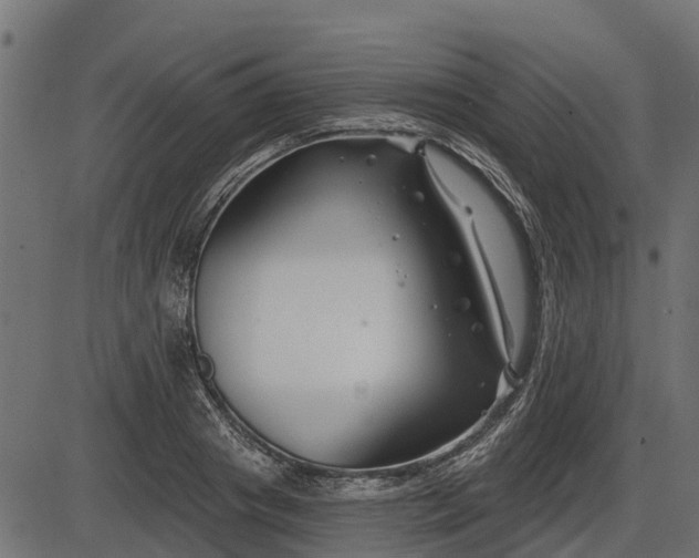 X0000086300841200704091019