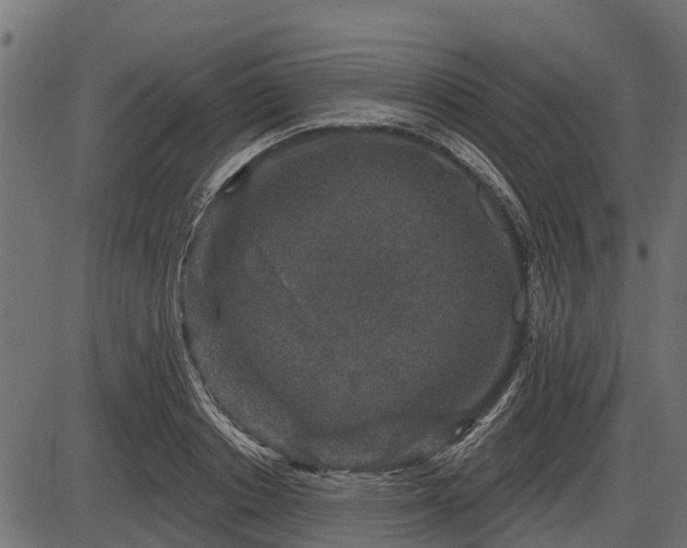 X0000086300842200704091019