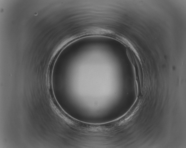 X0000086300843200704091019