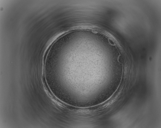 X0000086300844200704091019