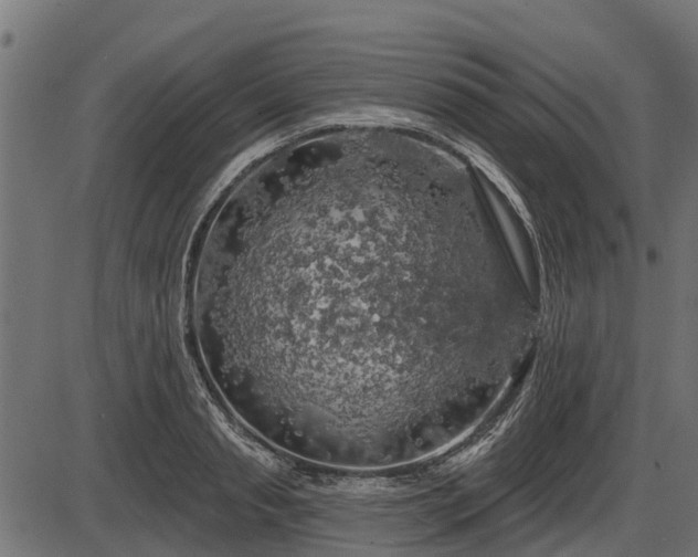 X0000086300845200704091019