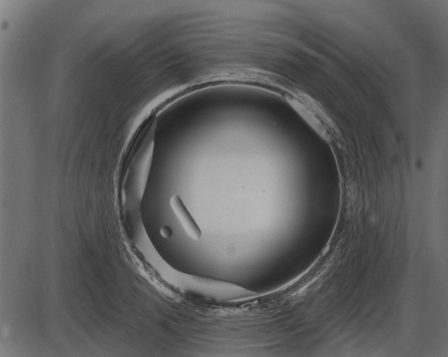 X0000086300846200704091019