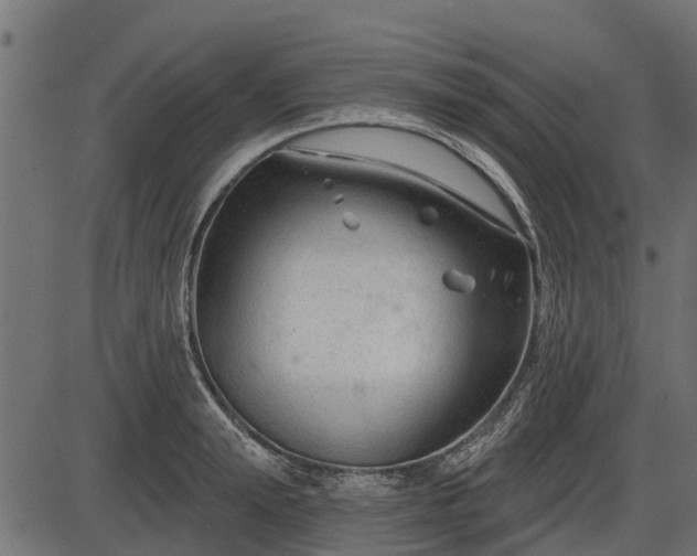 X0000086300847200704091019