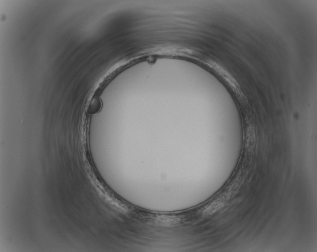 X0000086300848200704091019