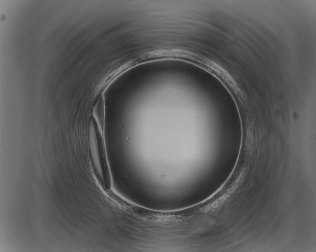 X0000086300849200704091019