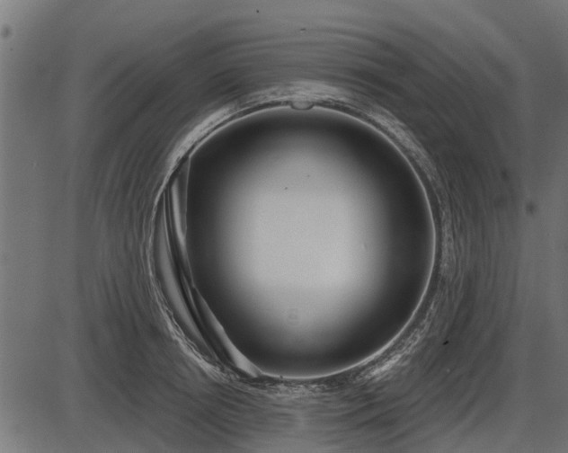 X0000086300850200704091019