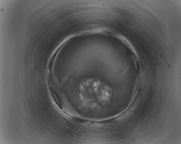 X0000086300851200704091019