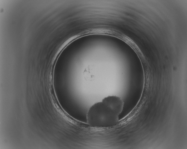 X0000086300852200704091019