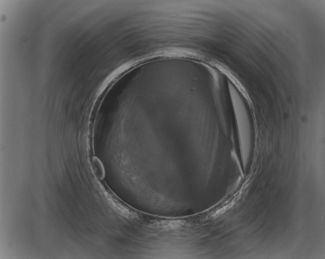 X0000086300853200704091019