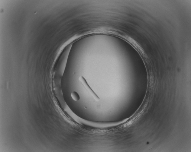 X0000086300854200704091019