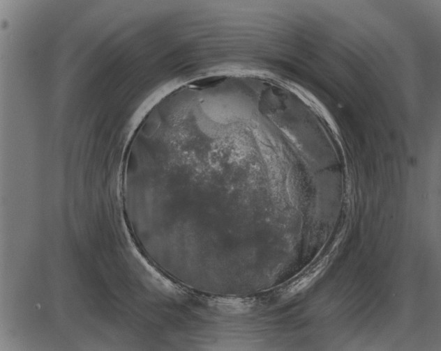 X0000086300855200704091019