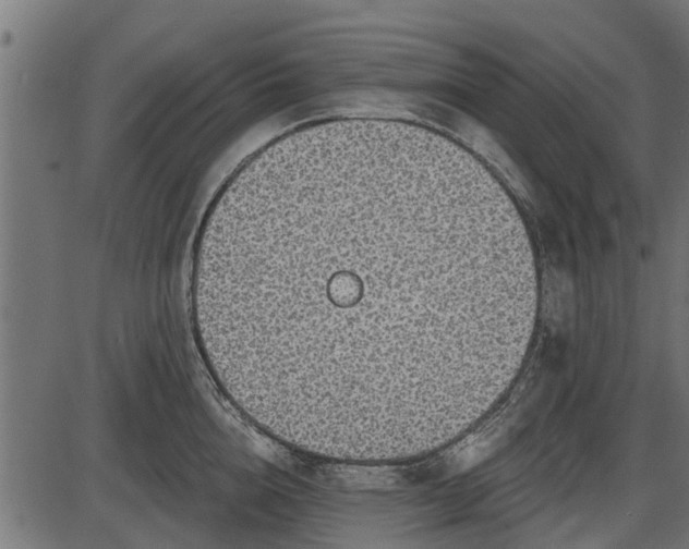 X0000086300856200704091019