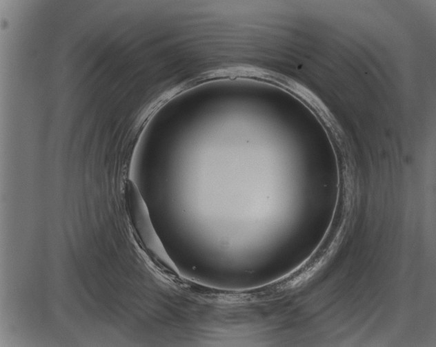 X0000086300857200704091019