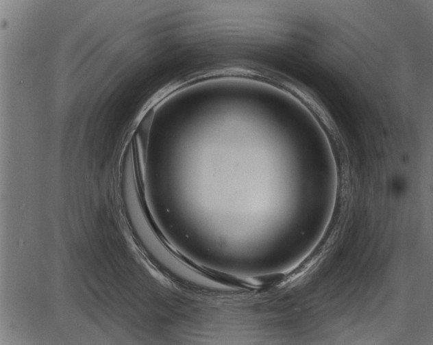 X0000086300858200704091019