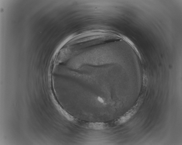 X0000086300859200704091019