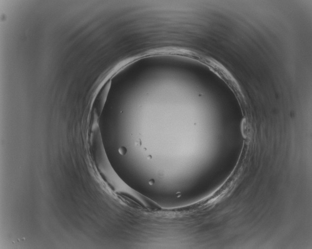 X0000086300860200704091019