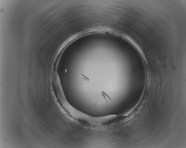 X0000086300861200704091019