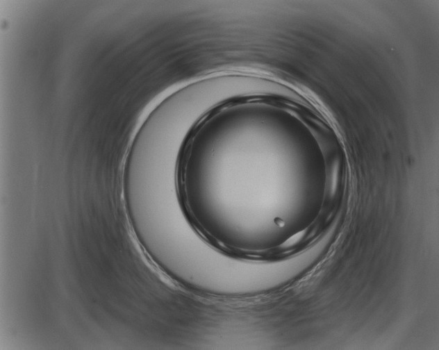 X0000086300862200704091019