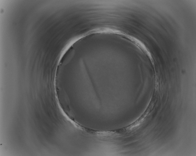 X0000086300863200704091019