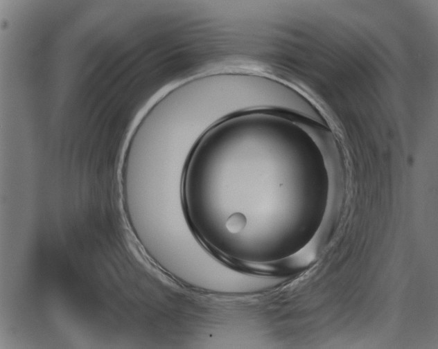 X0000086300864200704091019