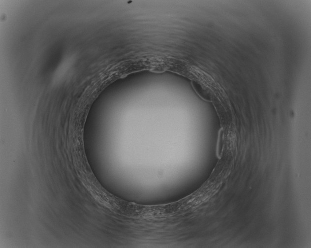 X0000086300865200704091019