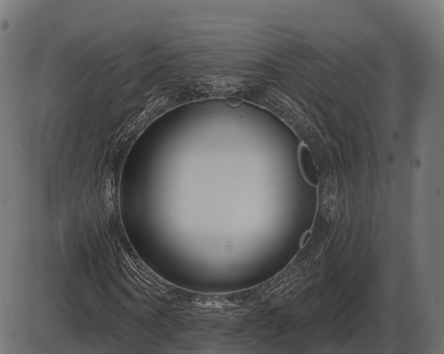 X0000086300866200704091019