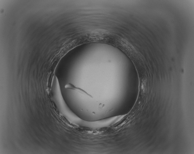 X0000086300867200704091019