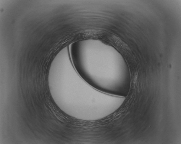 X0000086300868200704091019