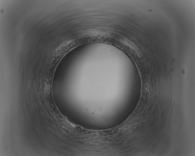 X0000086300869200704091019