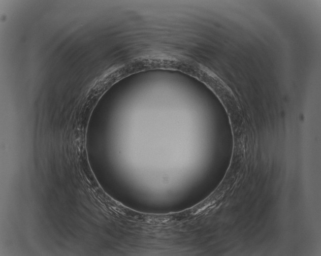 X0000086300870200704091019