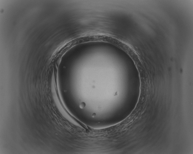 X0000086300871200704091018