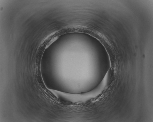 X0000086300872200704091018