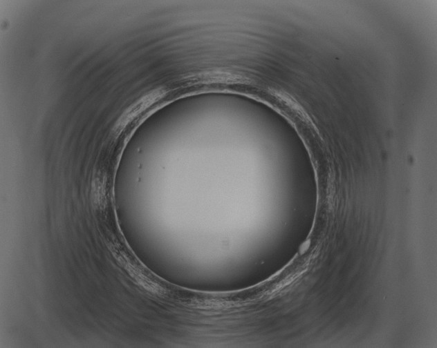 X0000086300873200704091018