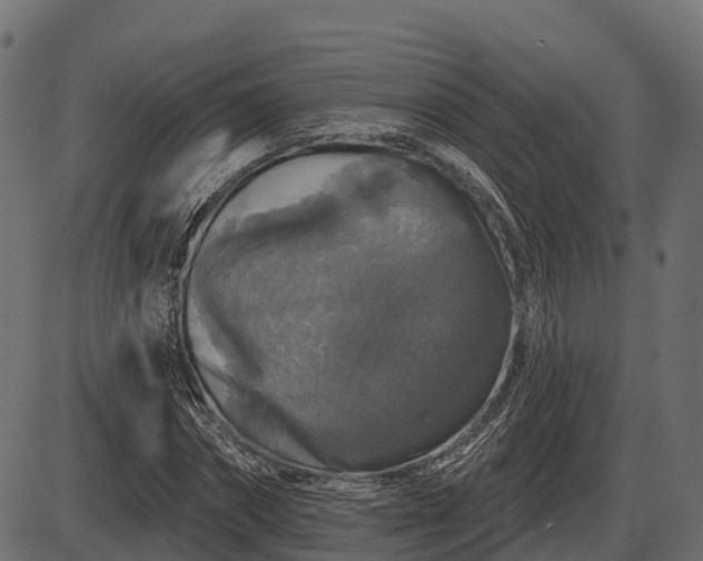 X0000086300874200704091018