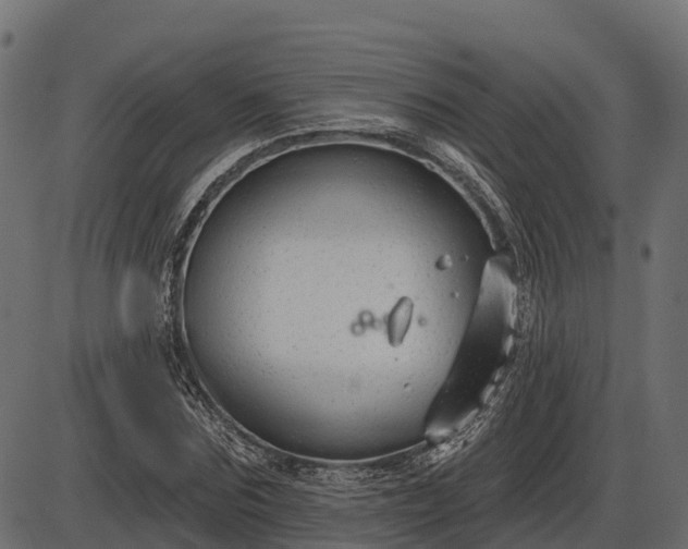 X0000086300875200704091018