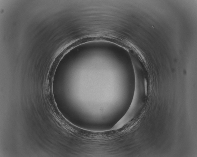 X0000086300876200704091018