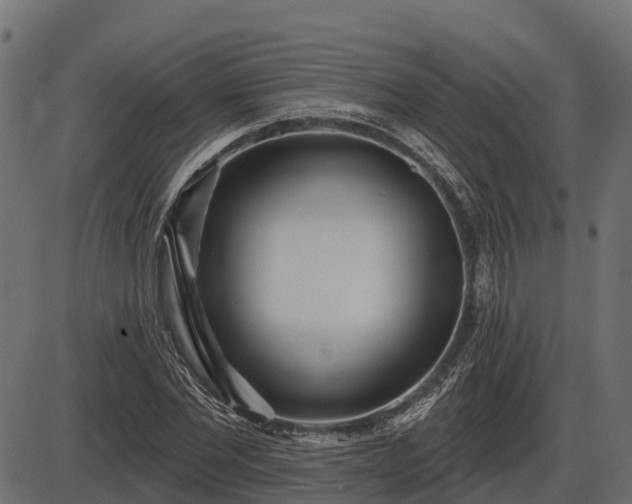 X0000086300877200704091018