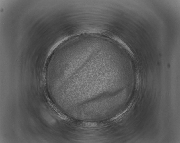 X0000086300878200704091018