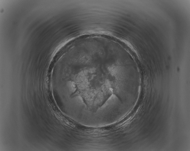 X0000086300879200704091018