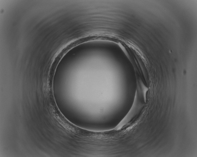 X0000086300880200704091018