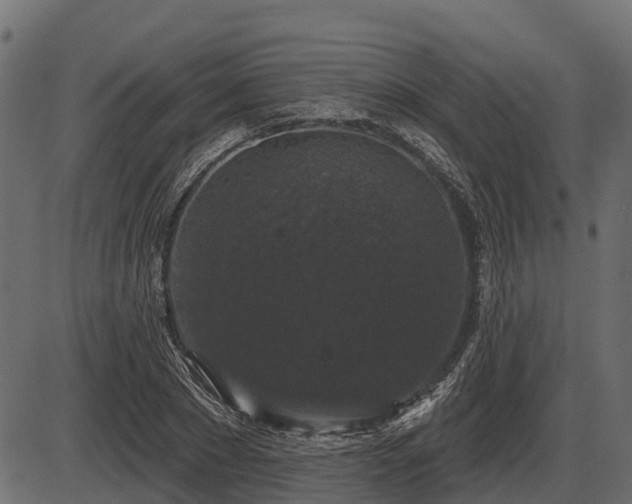 X0000086300881200704091018