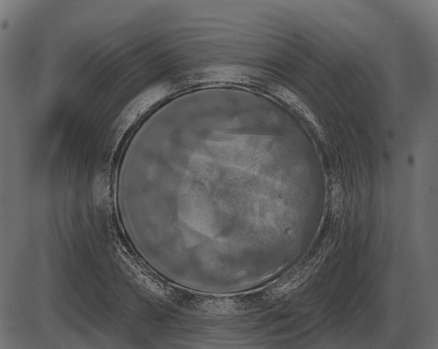 X0000086300882200704091018