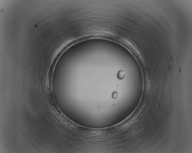 X0000086300883200704091018